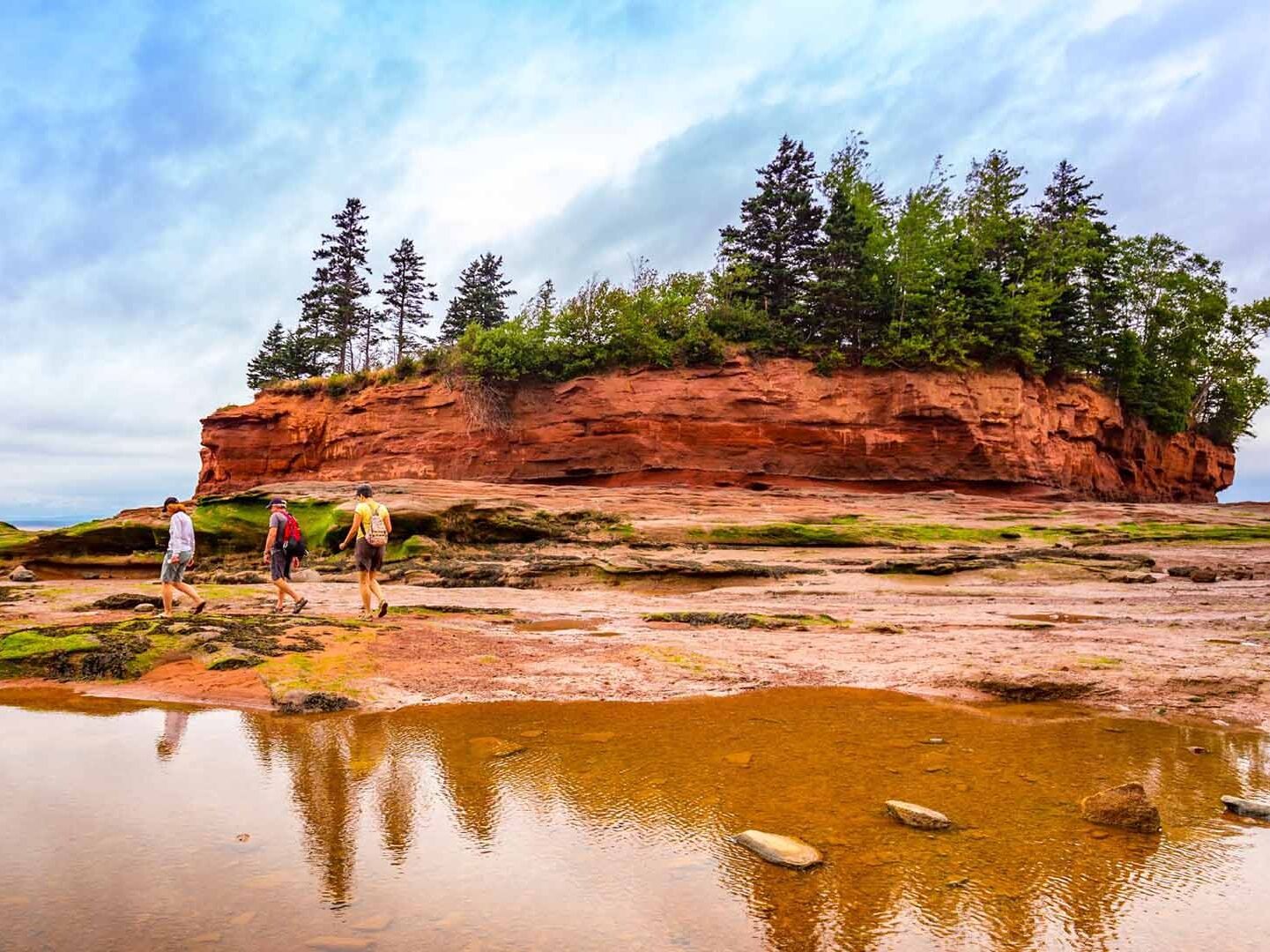 Picture of Burntcoat Head Park