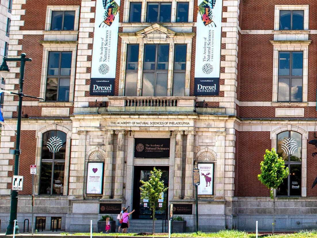Picture of The Academy of Natural Sciences of Drexel University