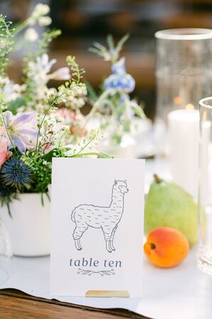 Animal Table Number at Spring Reception at Central Park Zoo