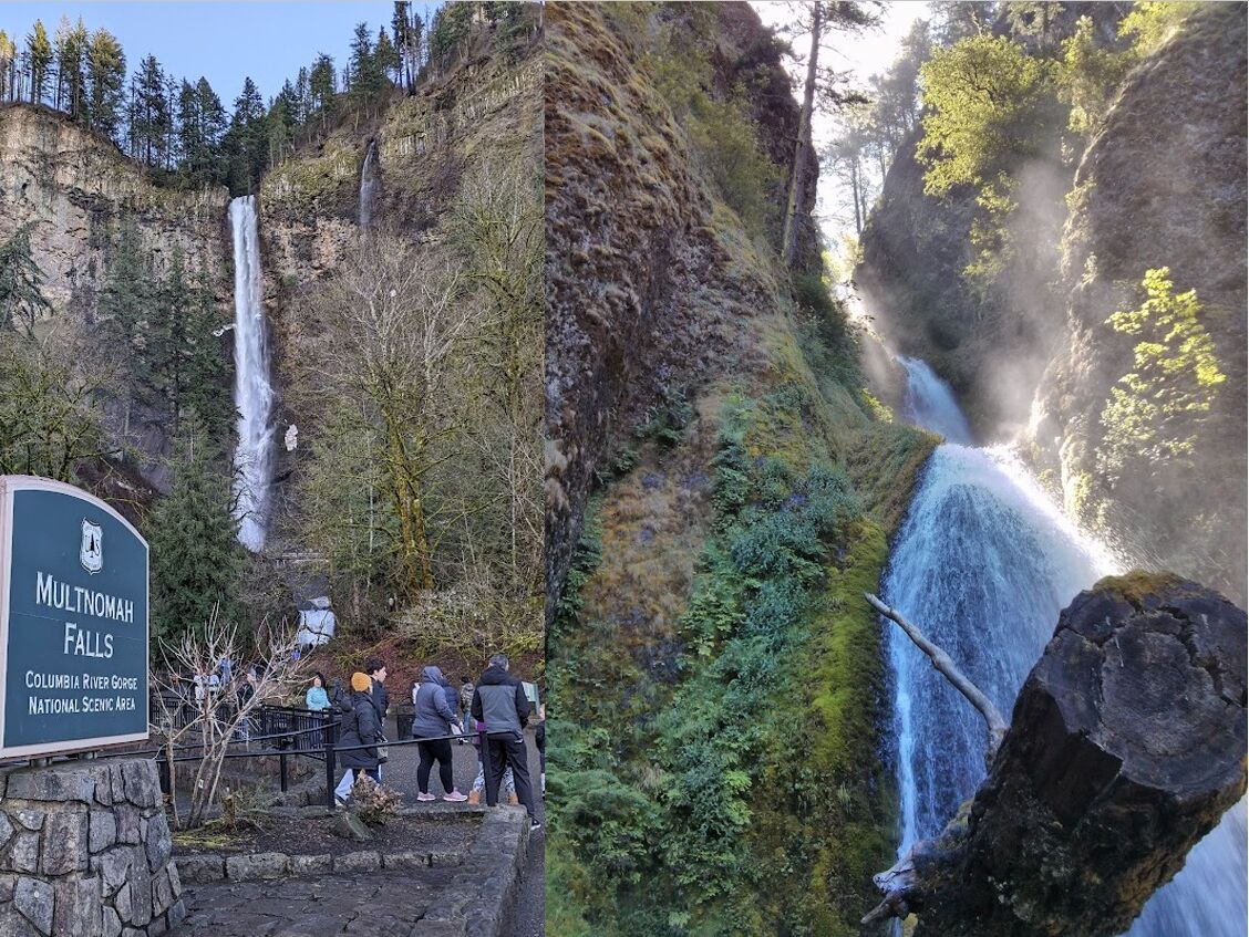 Picture of Multnomah Falls