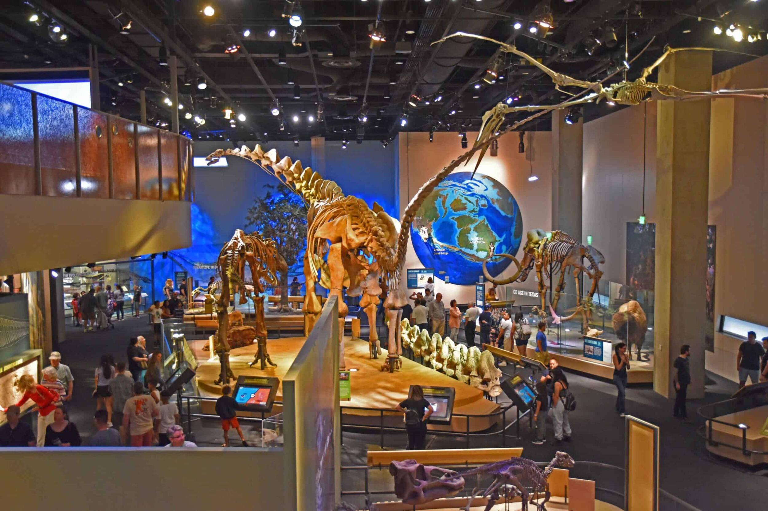 Picture of Perot Museum of Nature and Science