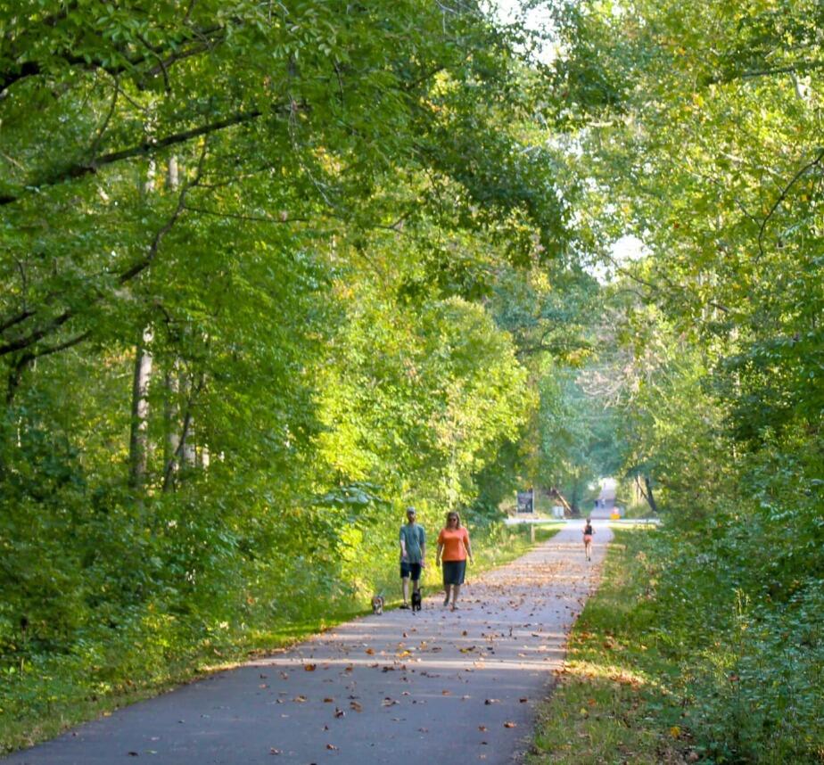 Picture of Swamp Rabbit trail