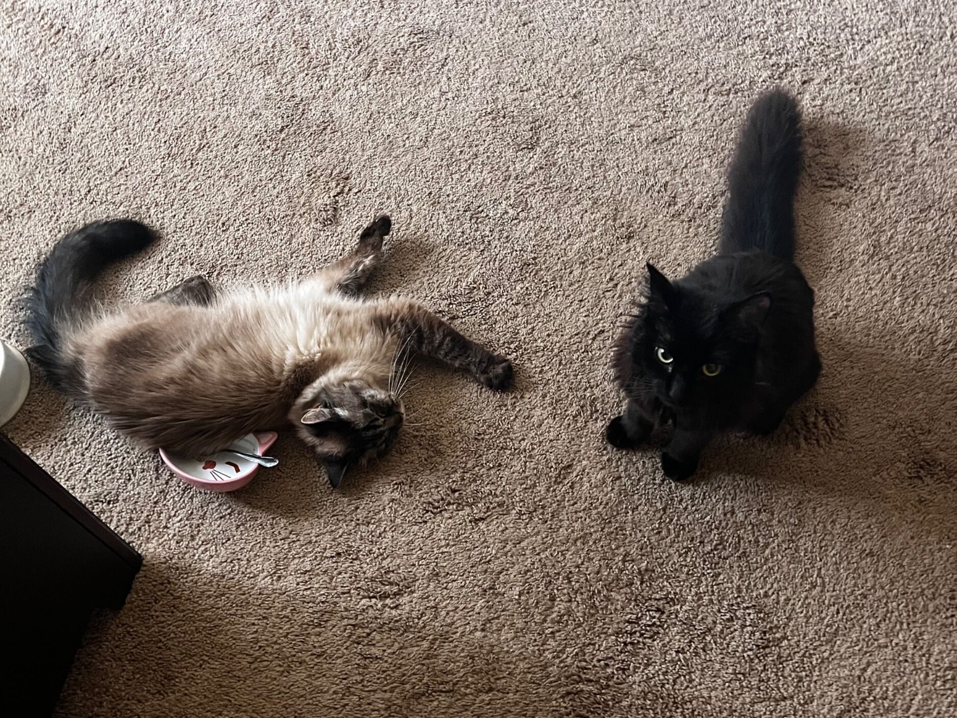 Picture of 11.23.2021 Celebrated Isaac's golden birthday and adopted Chai