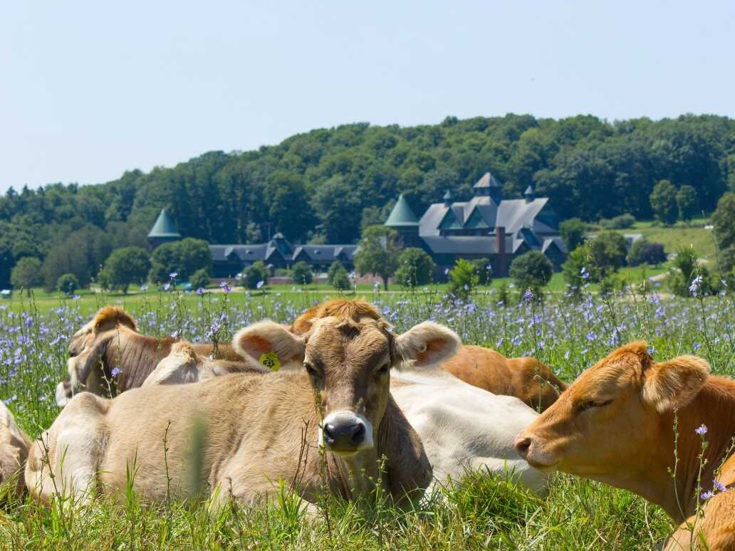 Picture of Shelburne Farms