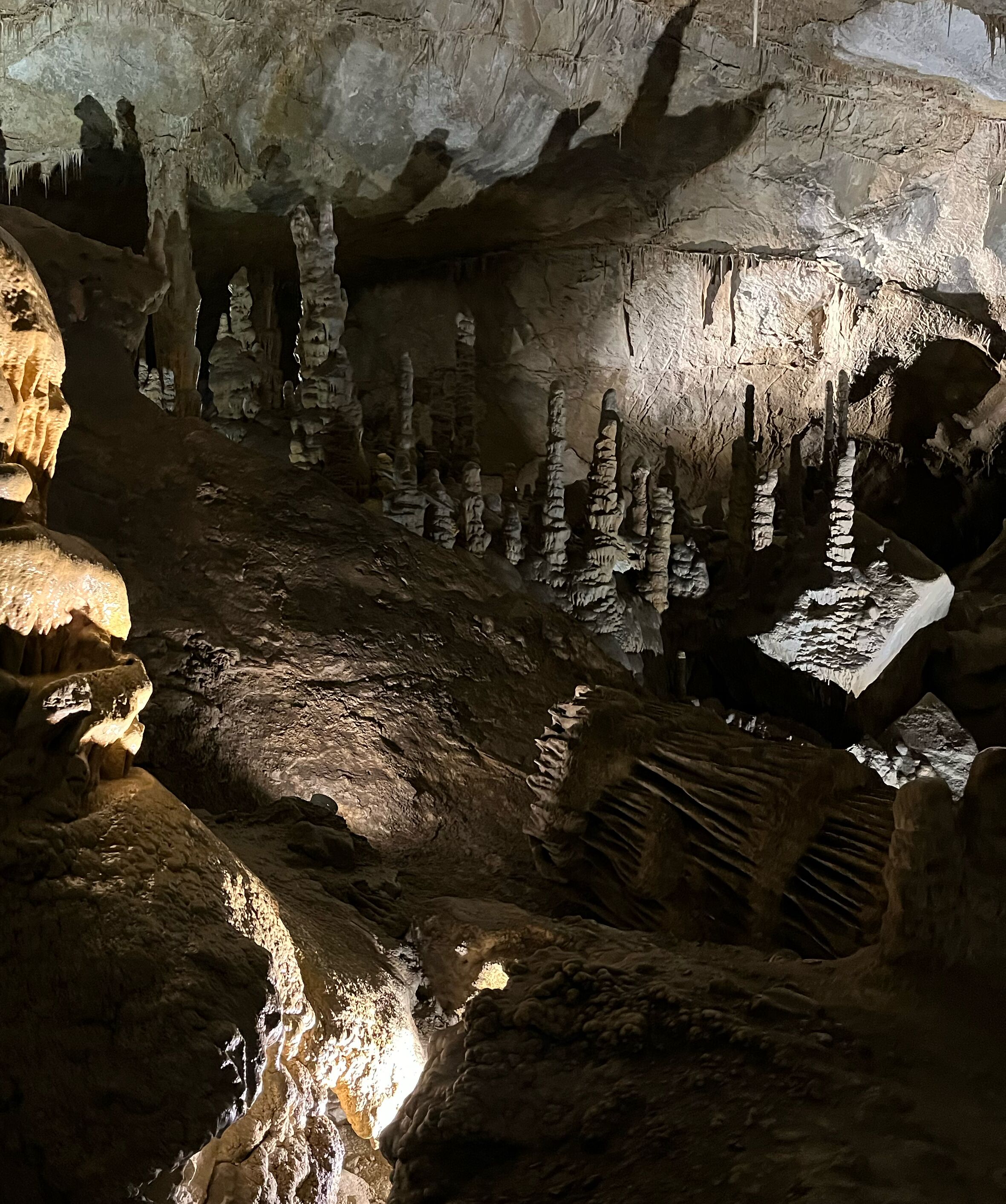 Picture of Lewis & Clark Caverns State Park