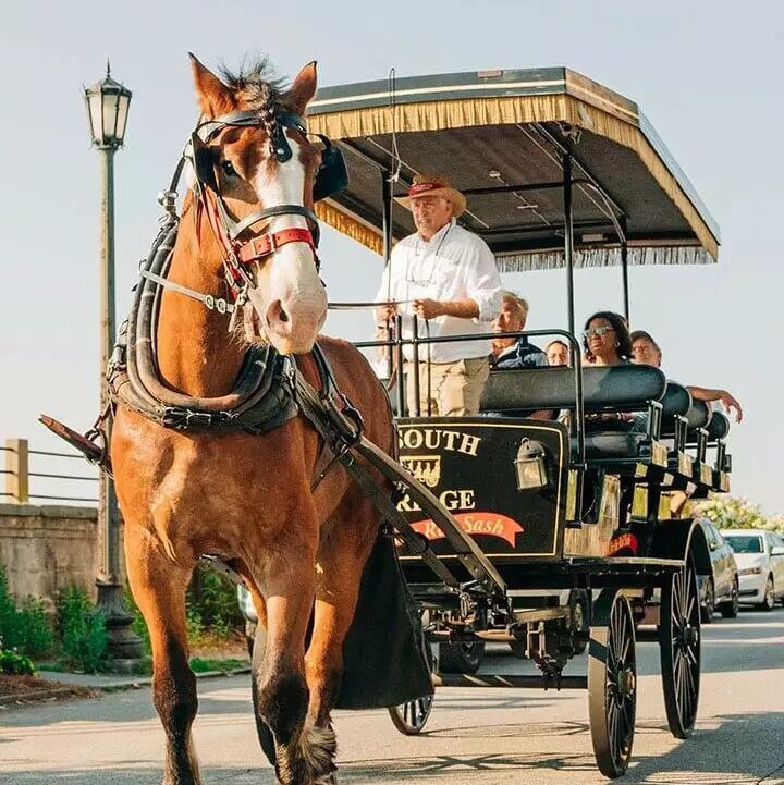 Picture of Old South Carriage Company