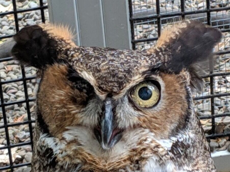 Picture of Hudson Highlands Nature Museum