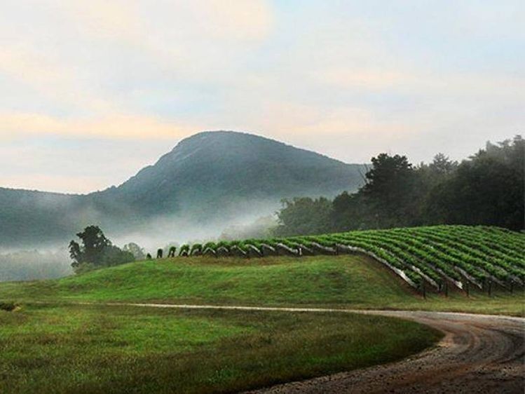 Picture of Yonah Mountain Vineyards