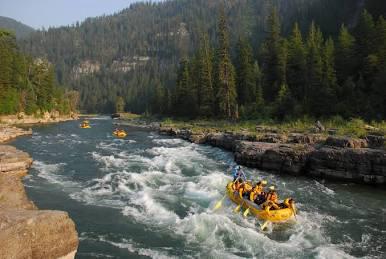 Picture of White Water Rafting - Skagit River 