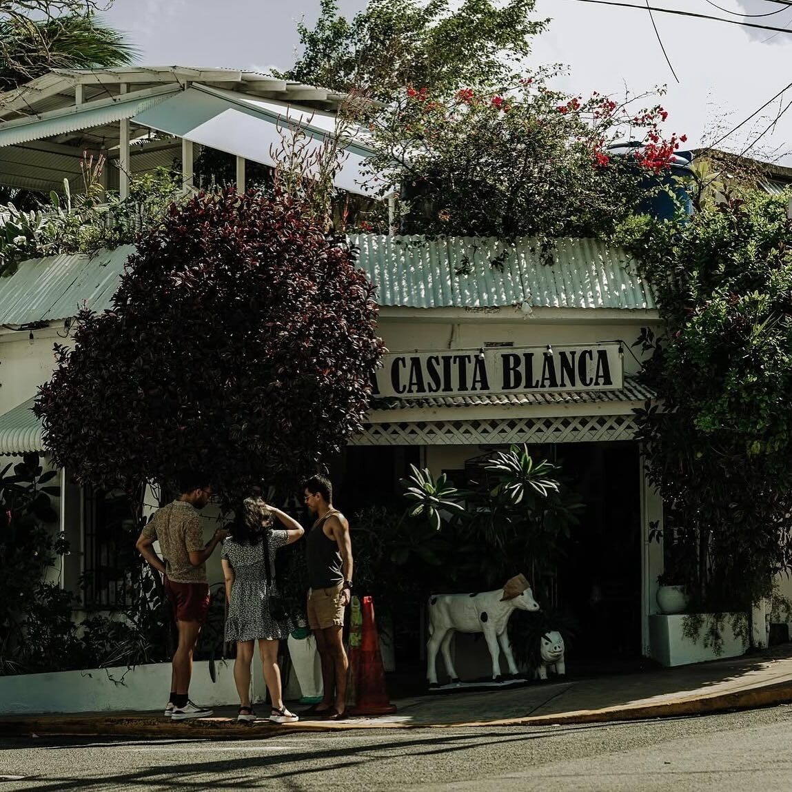 Picture of La Casita Blanca