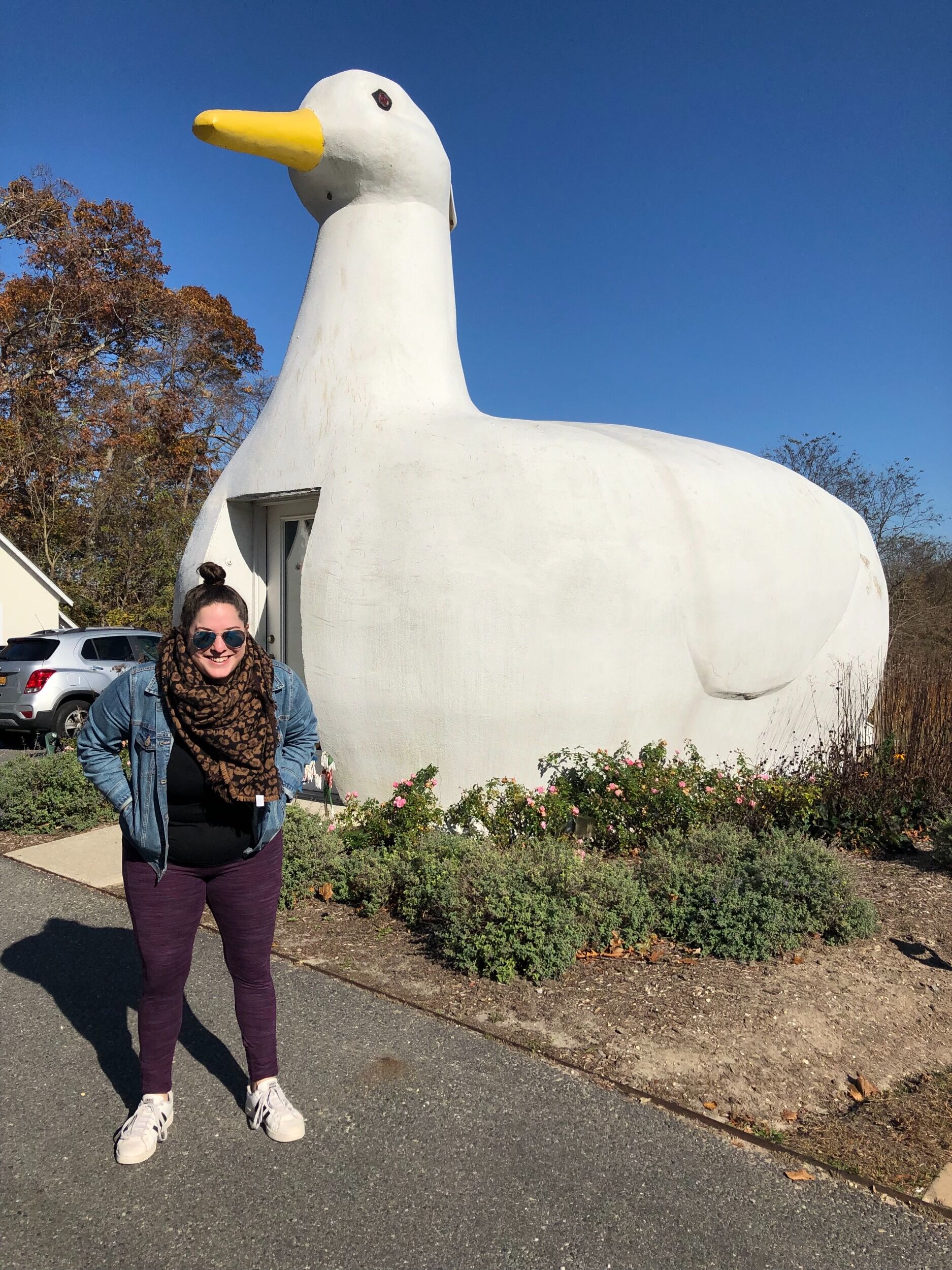 Picture of The Big Duck