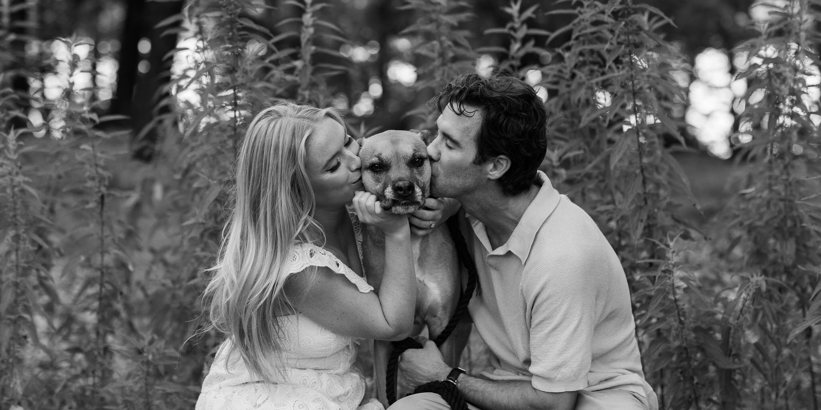 Monica & Christopher Home Page Banner