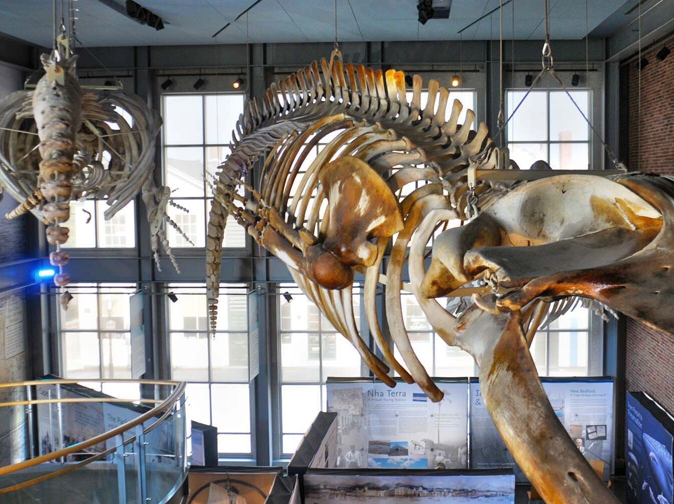Picture of New Bedford Whaling Museum