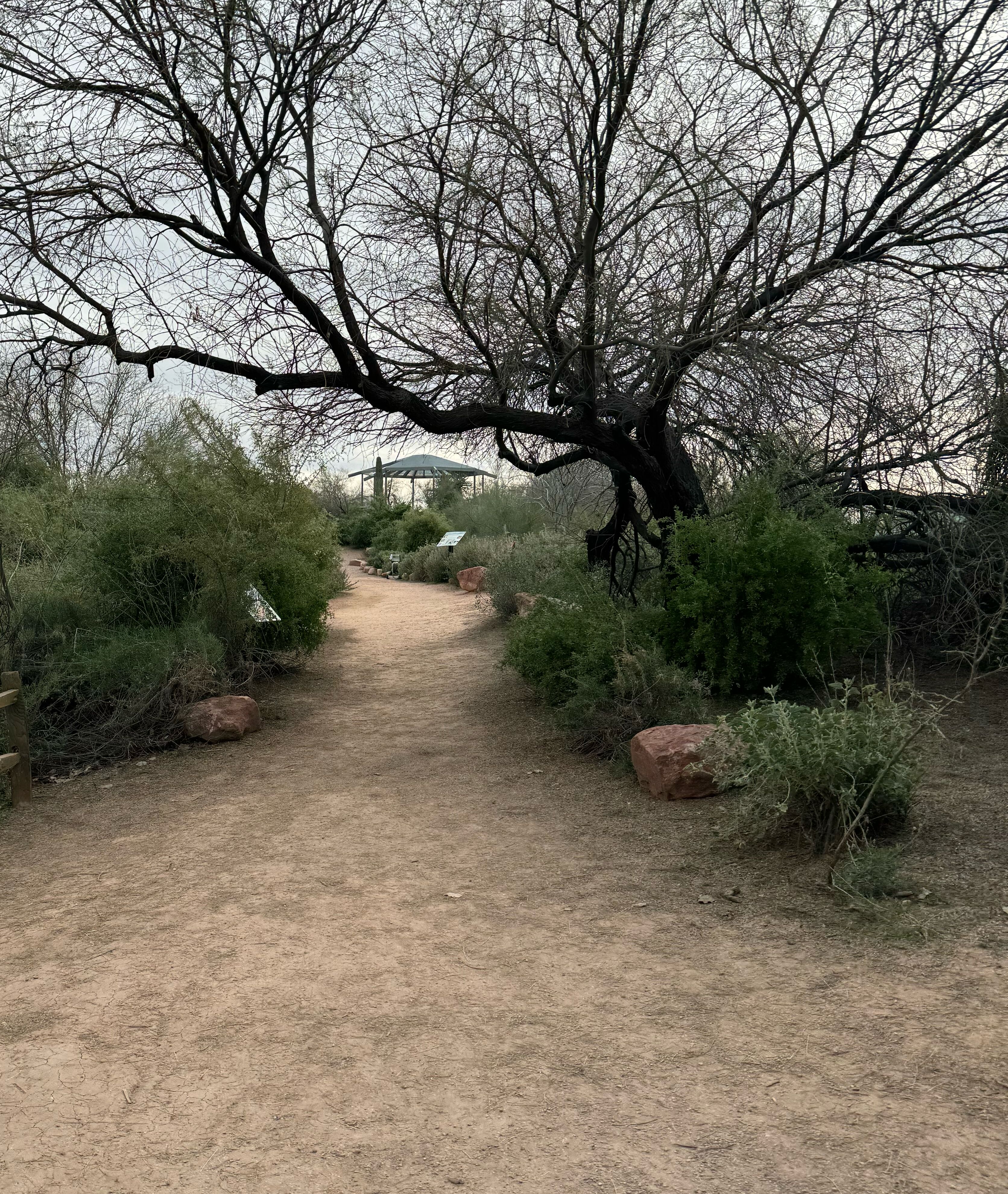 Picture of Riparian Preserve and Water Ranch