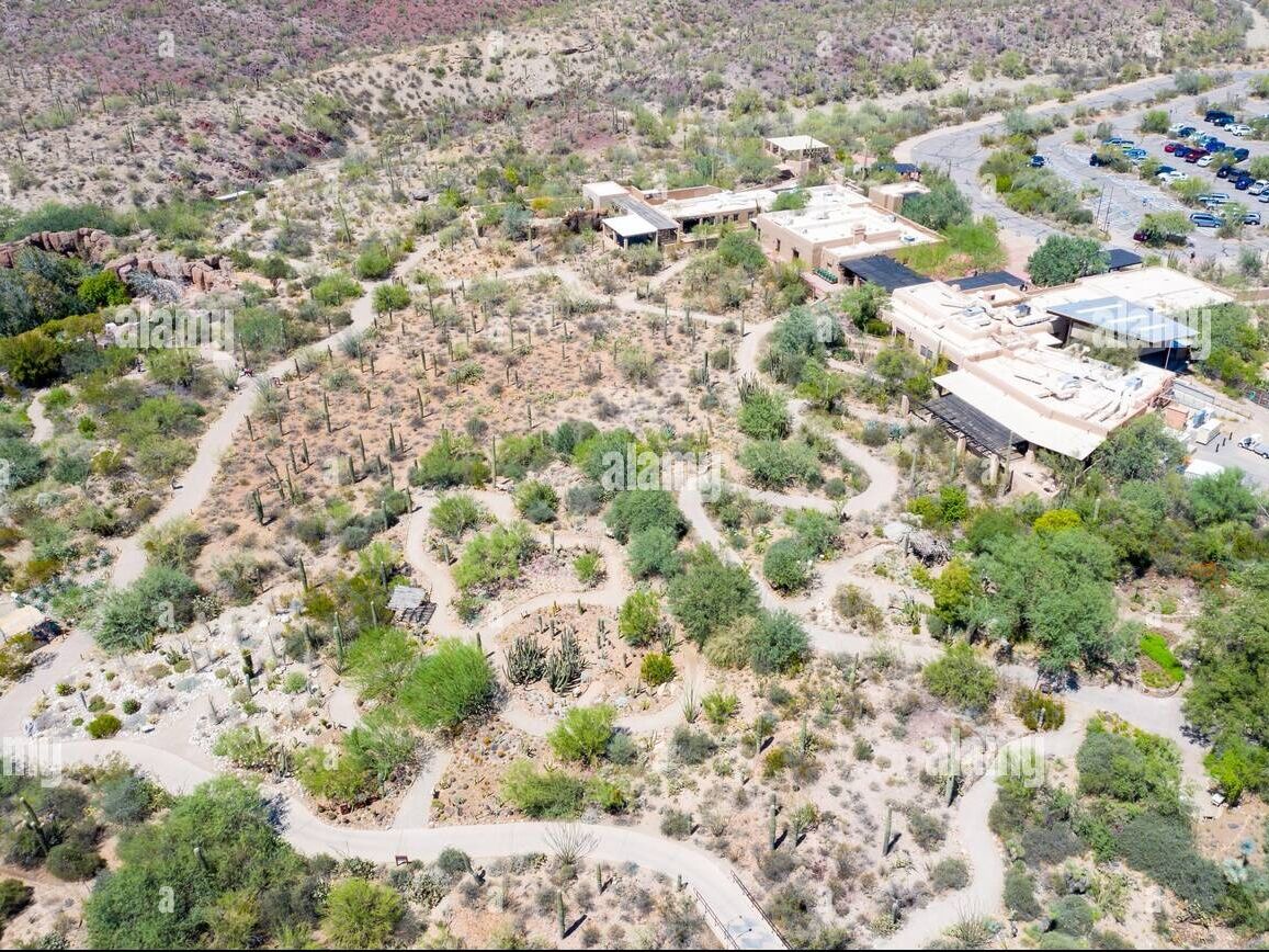 Picture of Arizona-Sonora Desert Museum