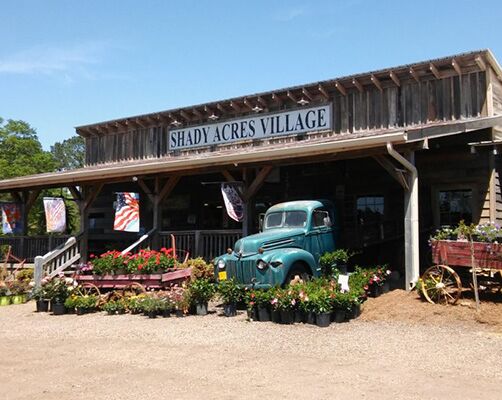 Picture of Shady Acres Village