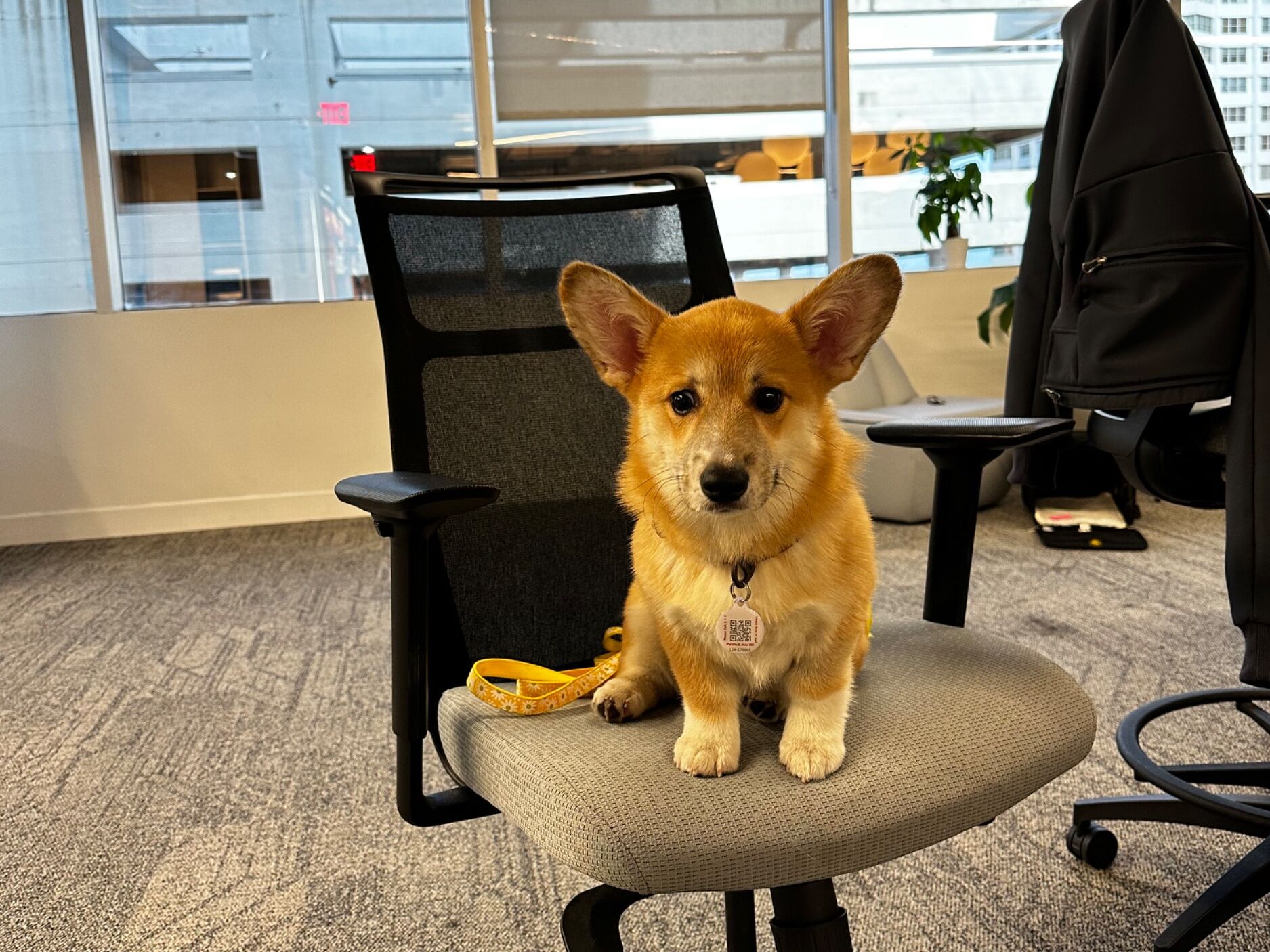 Picture of Winnie