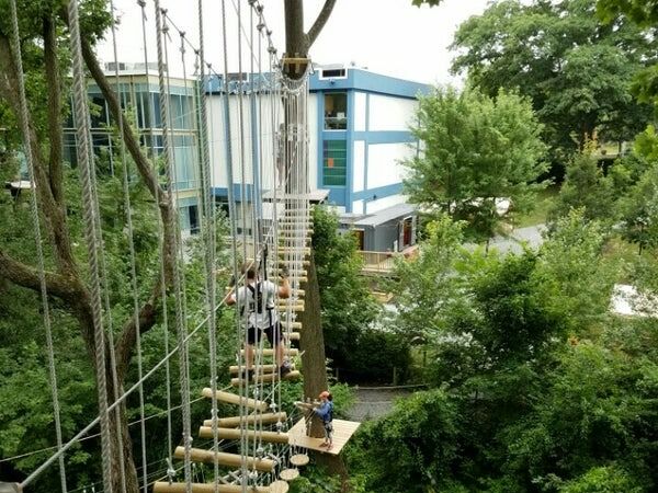 Picture of The Adventure Park at the Discovery Museum