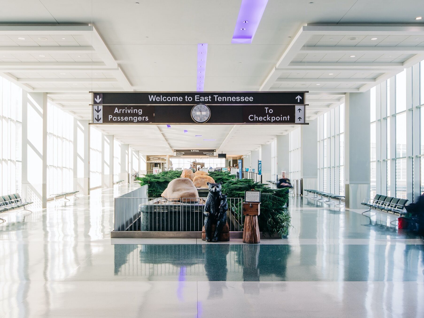 Picture of McGhee Tyson Airport