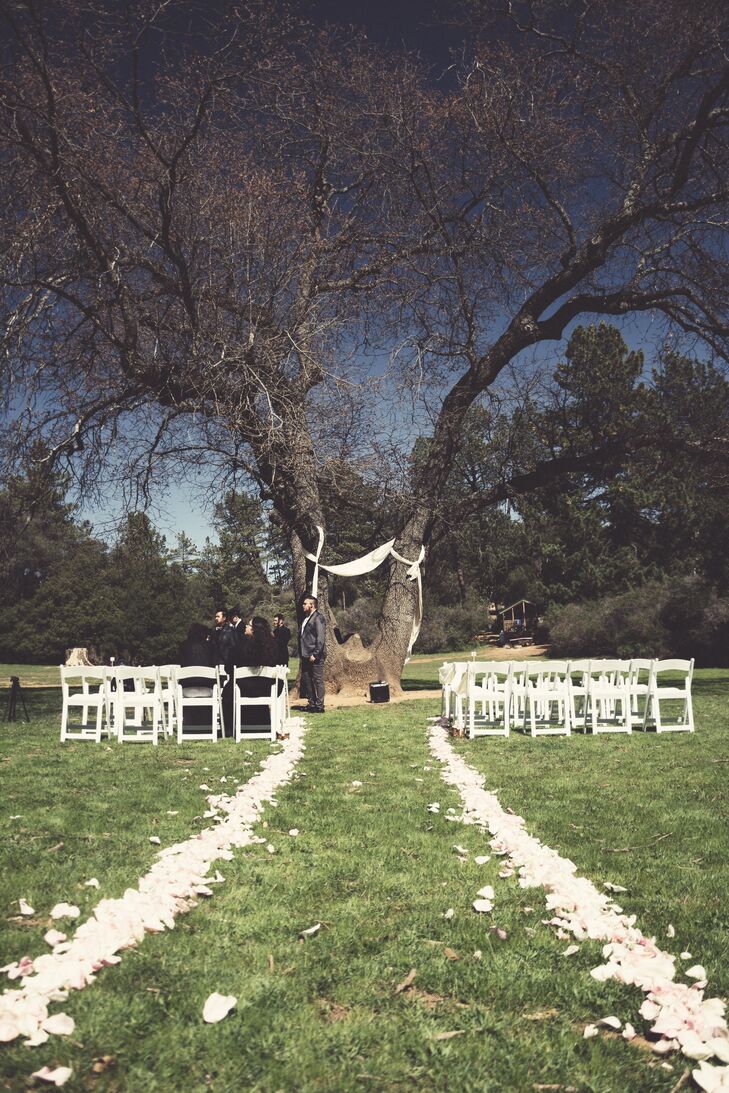 The outdoor ceremony took place at William Heise County Park, with white folding chairs facing the large tree tied with white sheets.