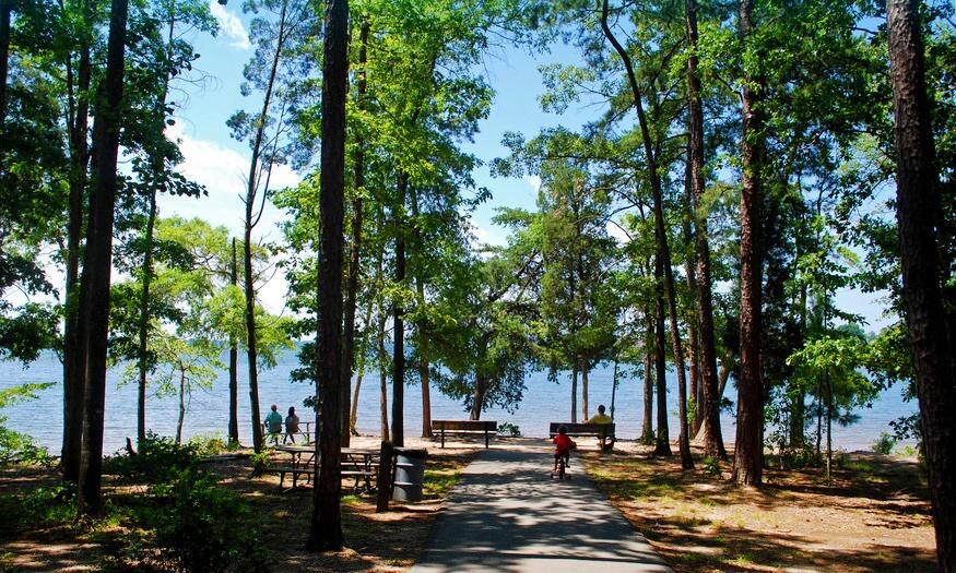 Picture of Jetton Park
