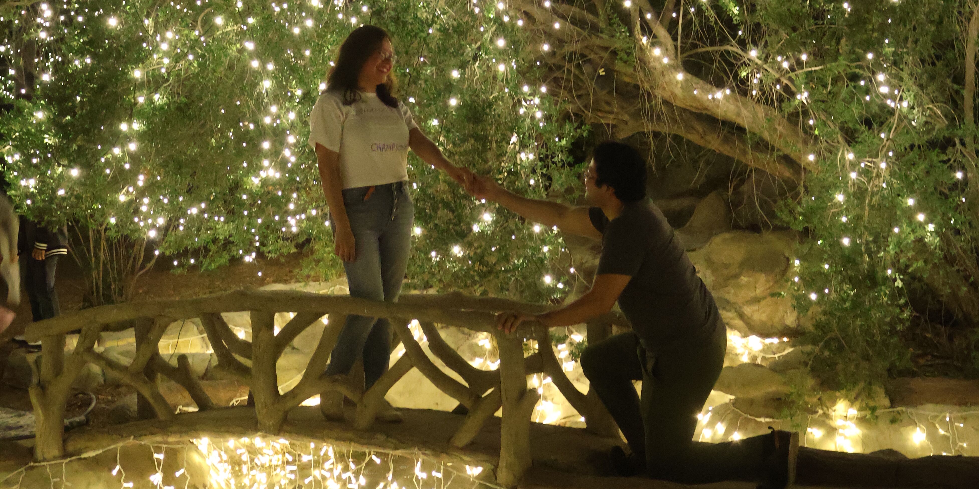 Picture of Our Happily Ever After