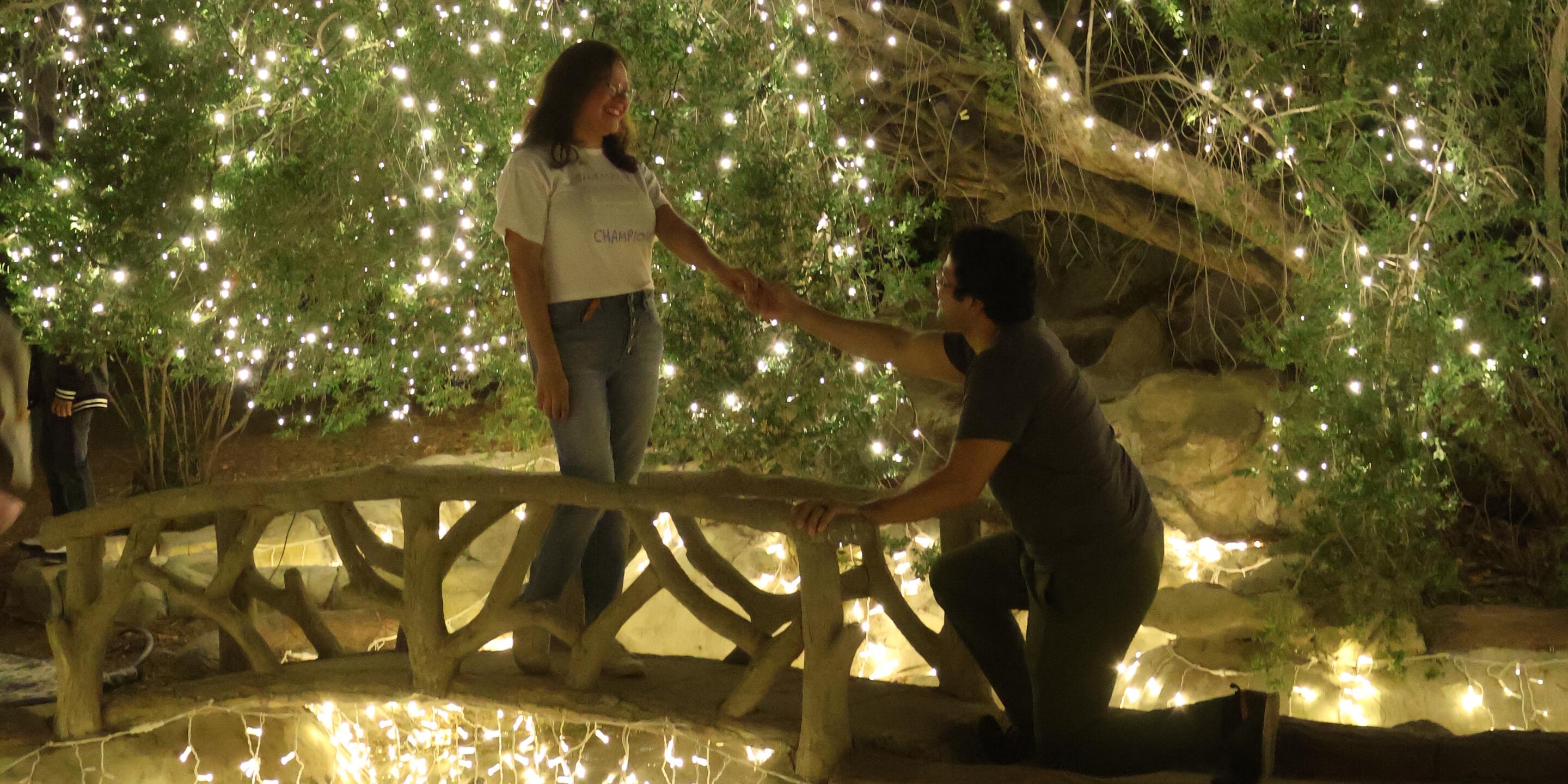 Picture of Our Happily Ever After