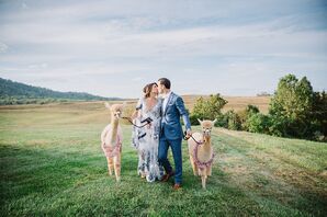 Couple with Alpacas at Early Mountain Vineyards in Madison, Virginia