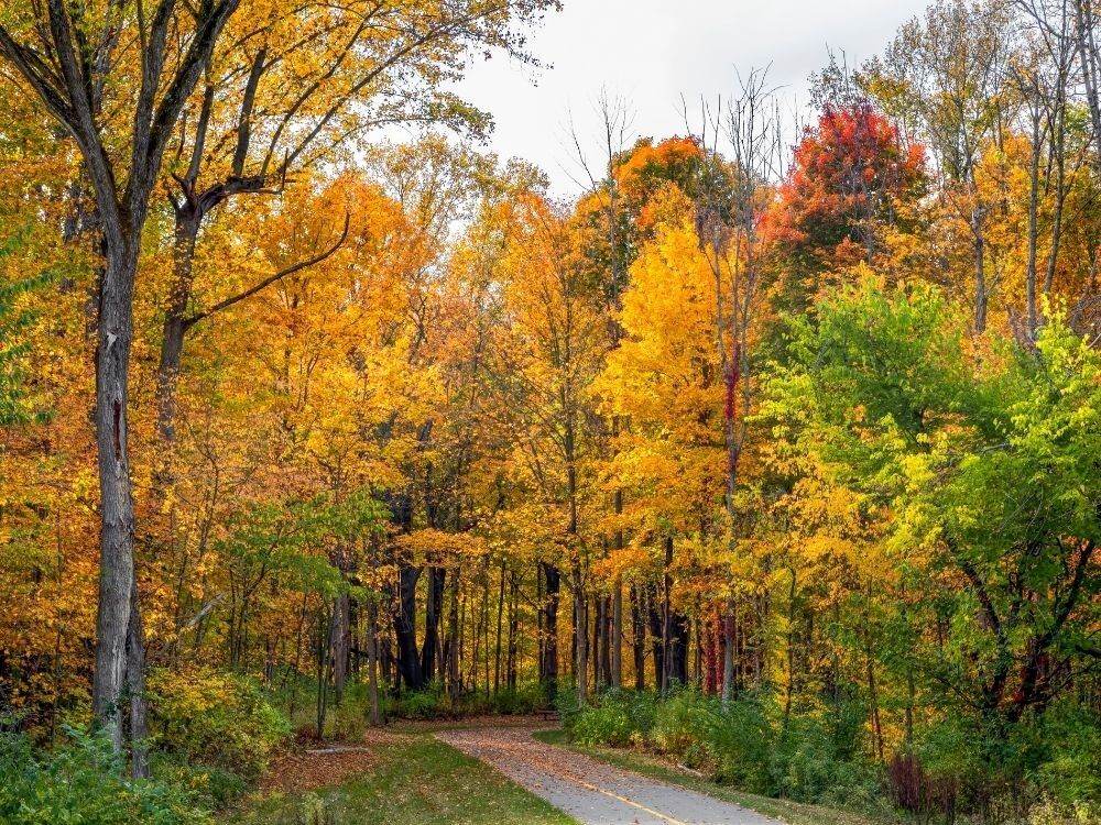 Picture of Eagle Creek Park