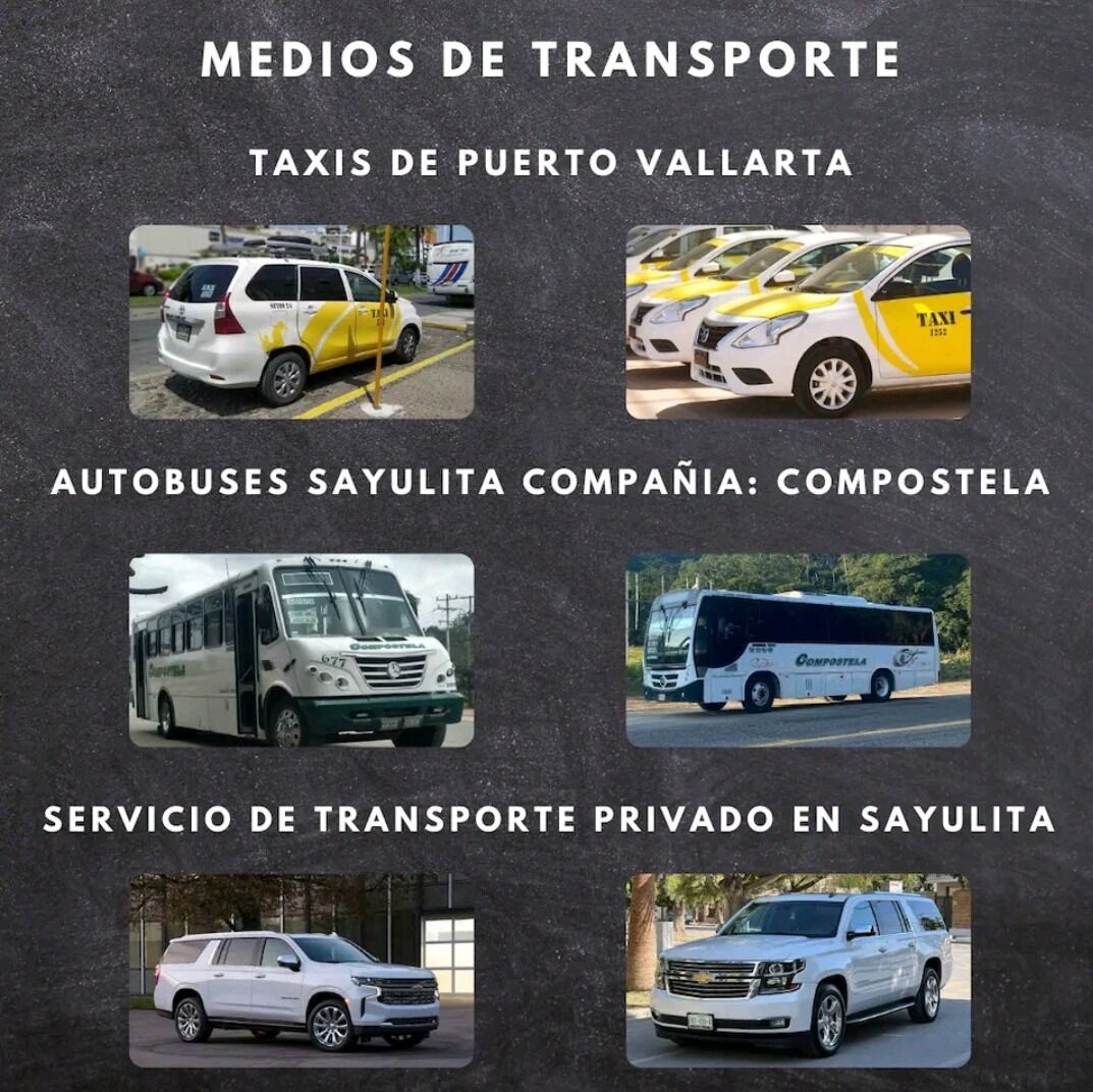 Picture of Trusted Taxi Number (Salvador)