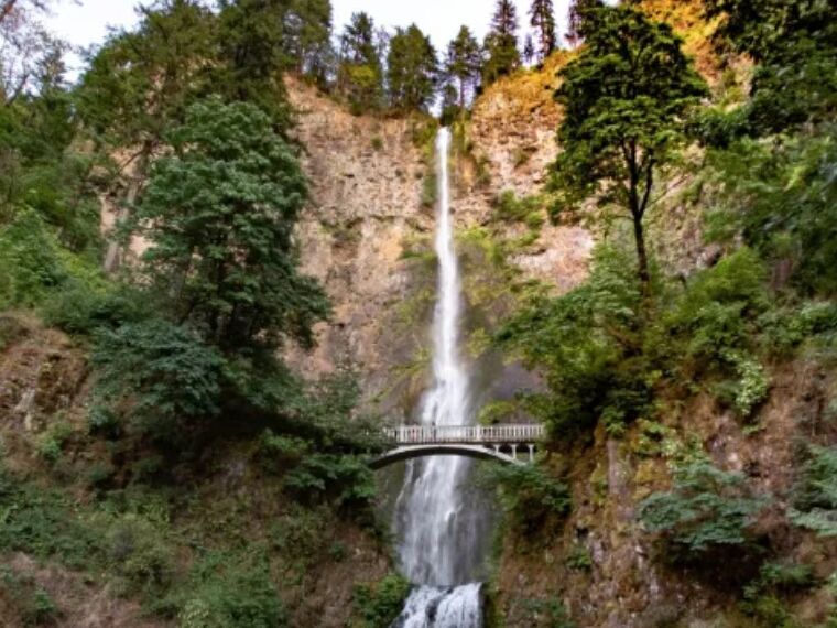 Picture of Multnomah Falls