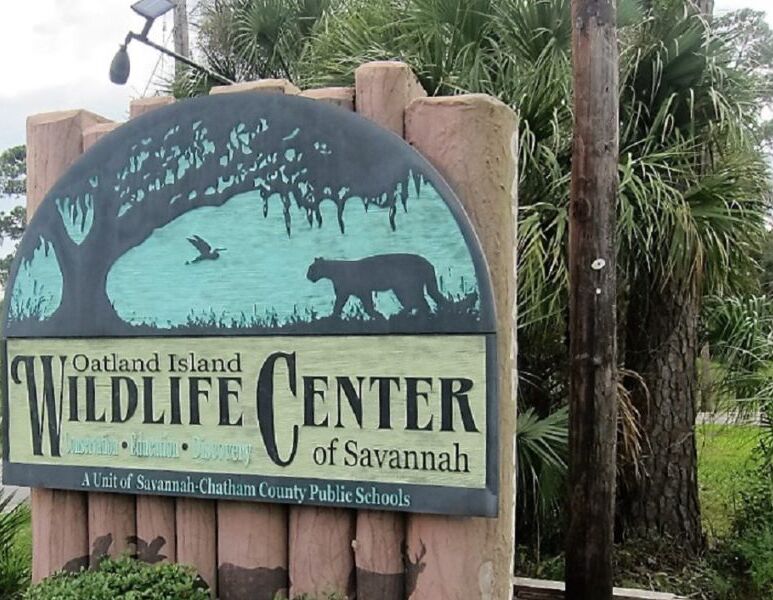 Picture of Oatland Island Wildlife Center