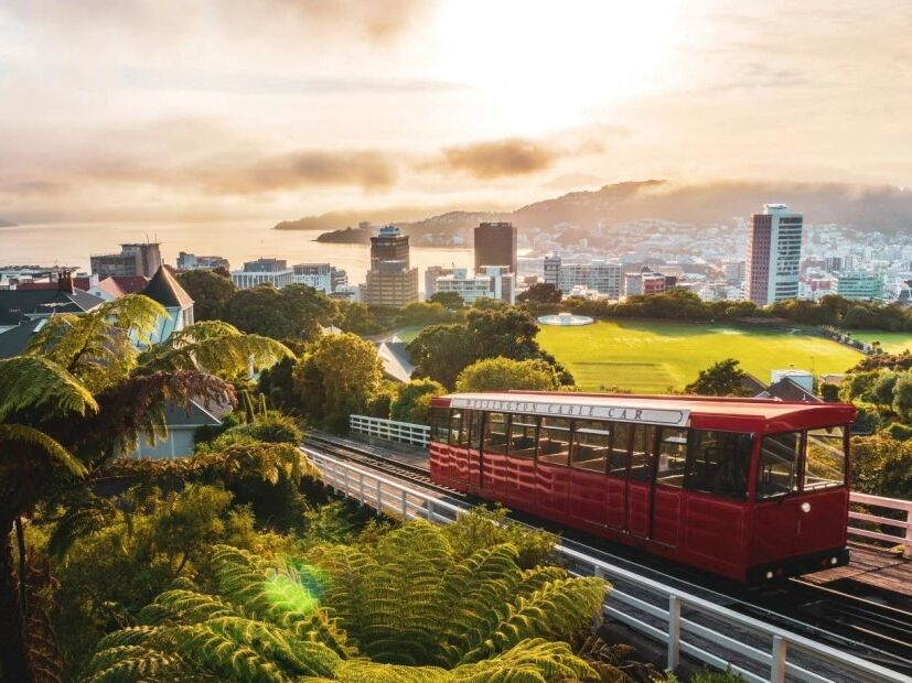 Picture of Wellington Itinerary