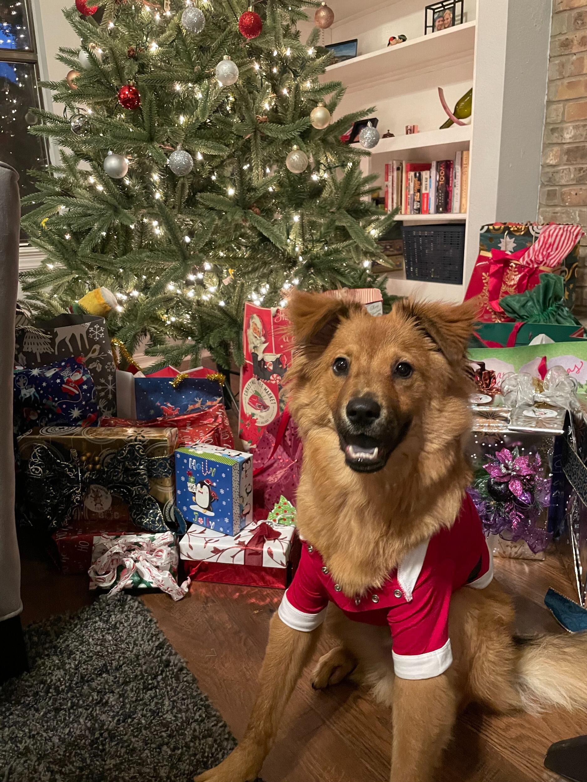 Santa Klaus!