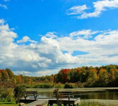 Picture of Beartown Lakes Reservation