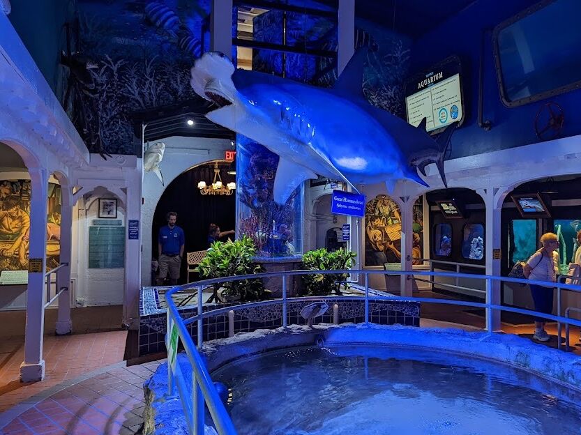 Picture of Key West Aquarium