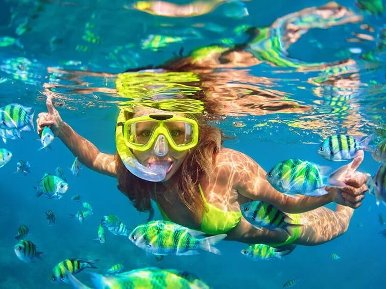 Picture of Coral Reef Snorkel Tour