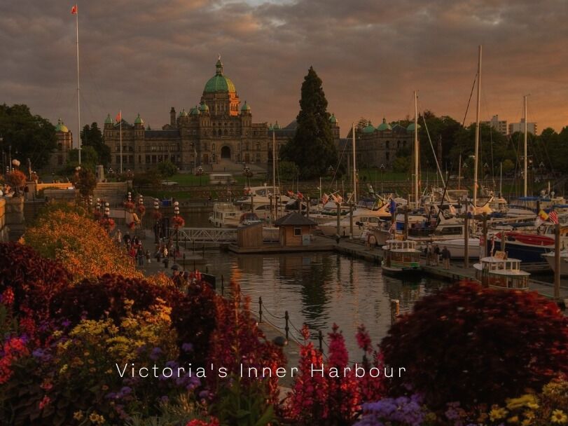 Picture of  1️⃣ Walk around the Inner Harbour