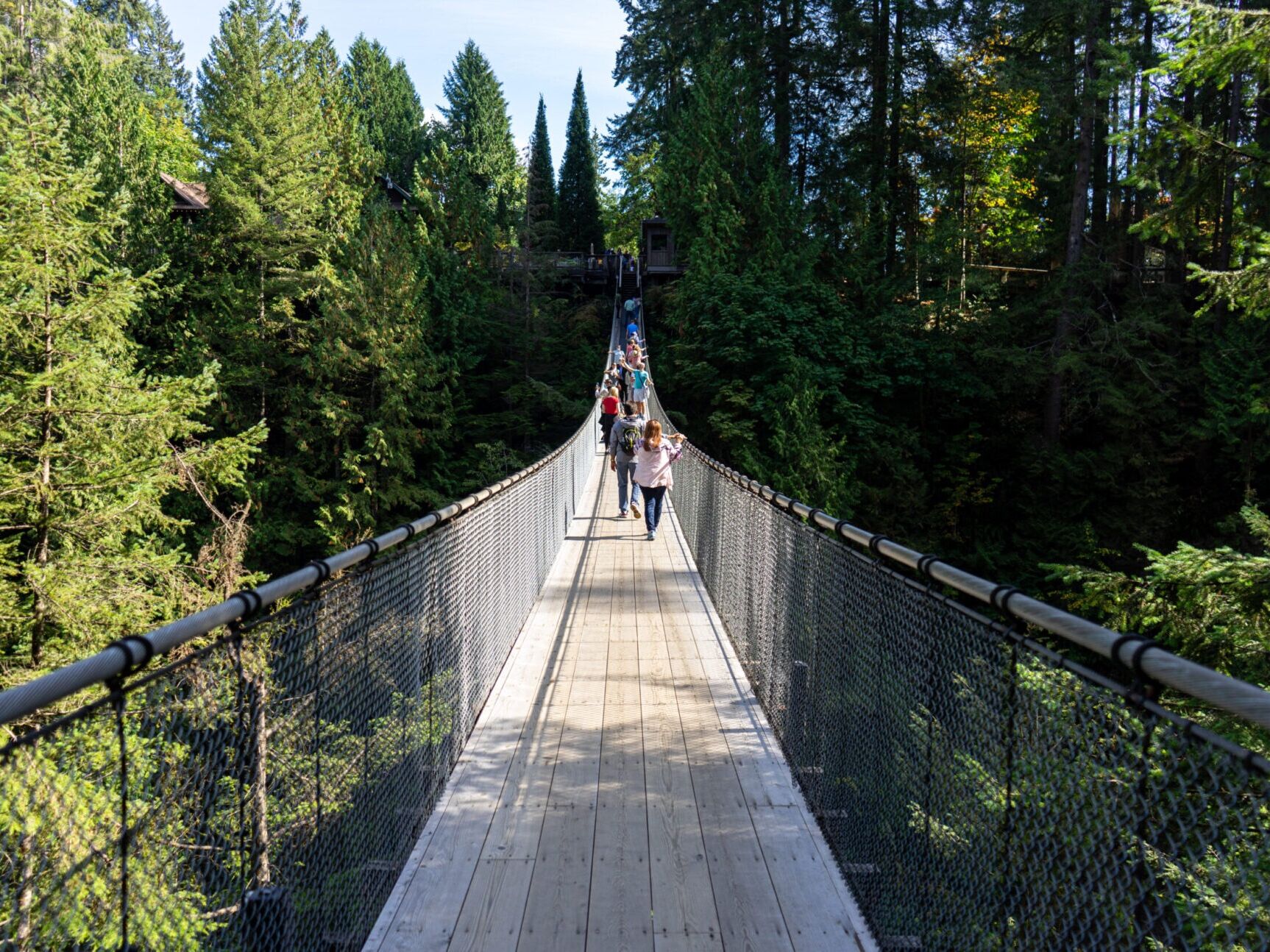 Picture of Capilano Suspension Bridge Park
