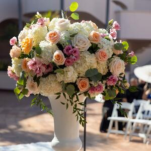 Gallery Photo 27
