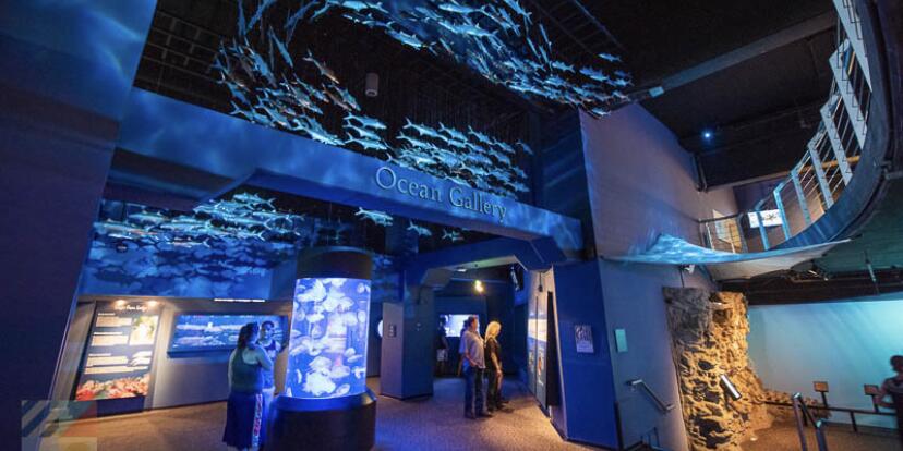 Picture of North Carolina Aquarium at Fort Fisher