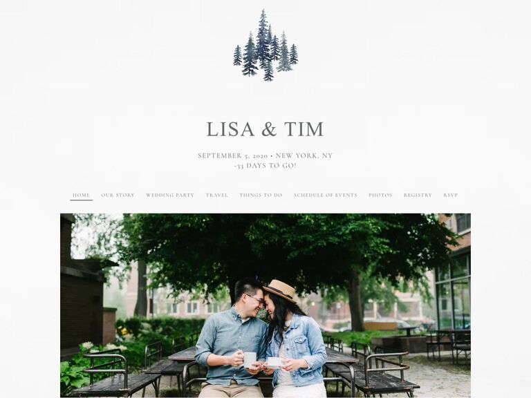 wedding website on the knot and couples who want to talk about the vaccine and testing