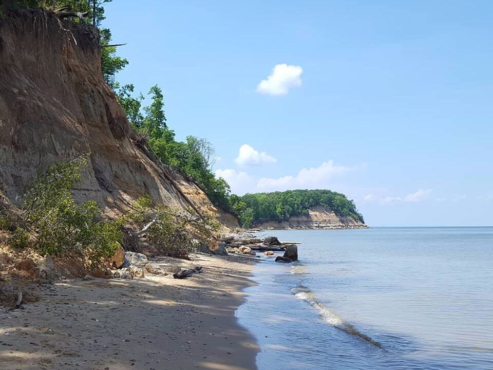 Picture of Calvert Cliffs State Park