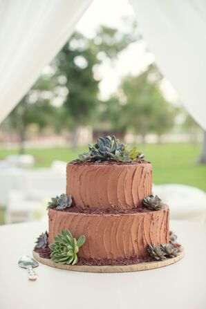 Chocolate Groom's Cake With Succulents