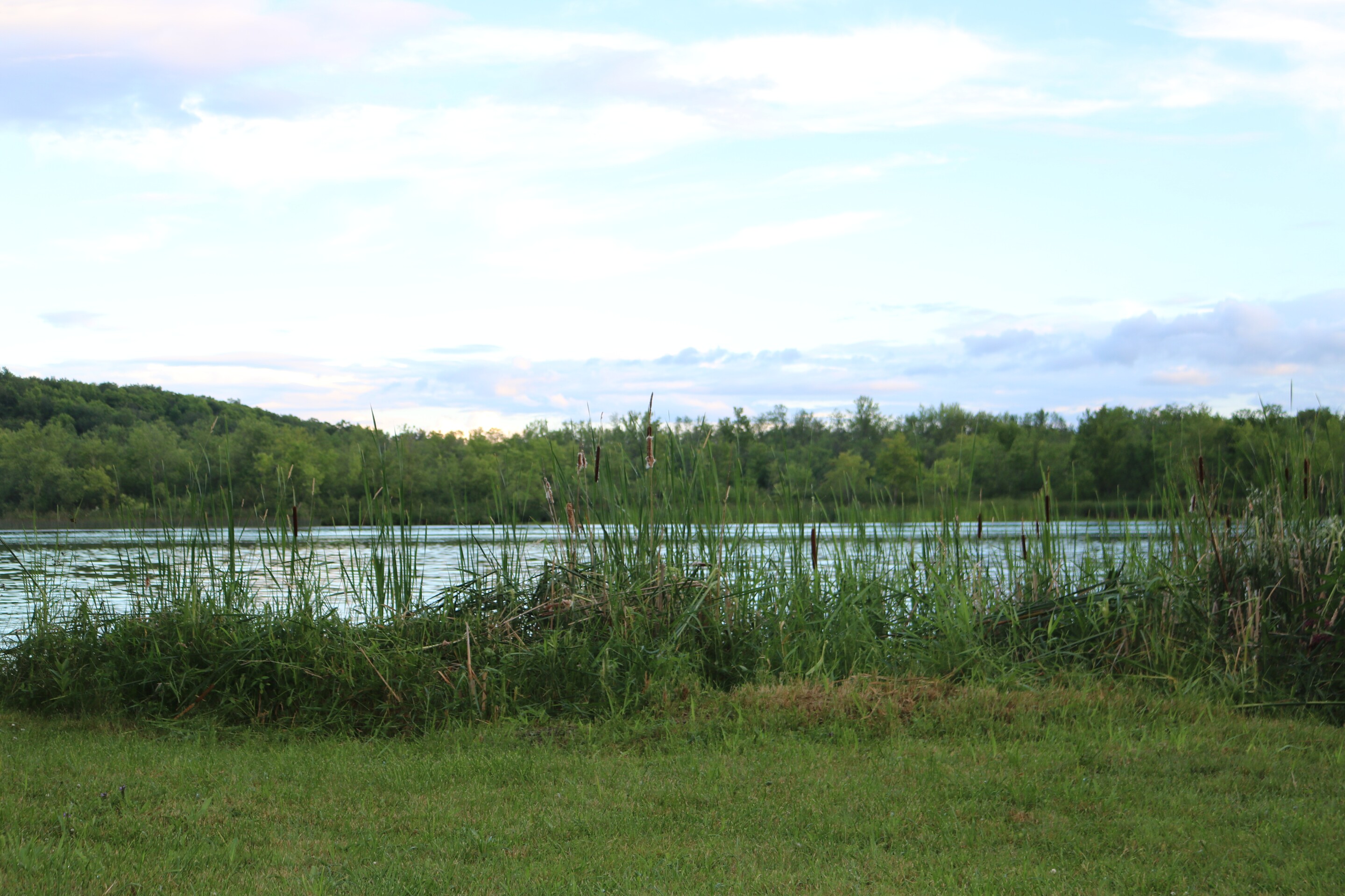 Ada & Rob Home Page Banner
