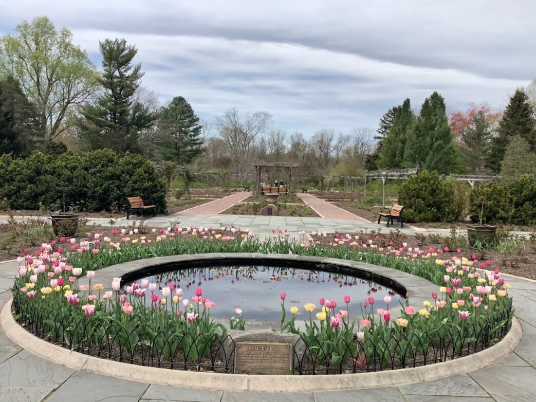 Picture of Rudolf W. van der Goot Rose Garden