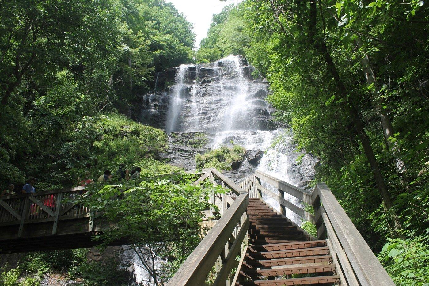 Picture of Amicalola Falls State Park