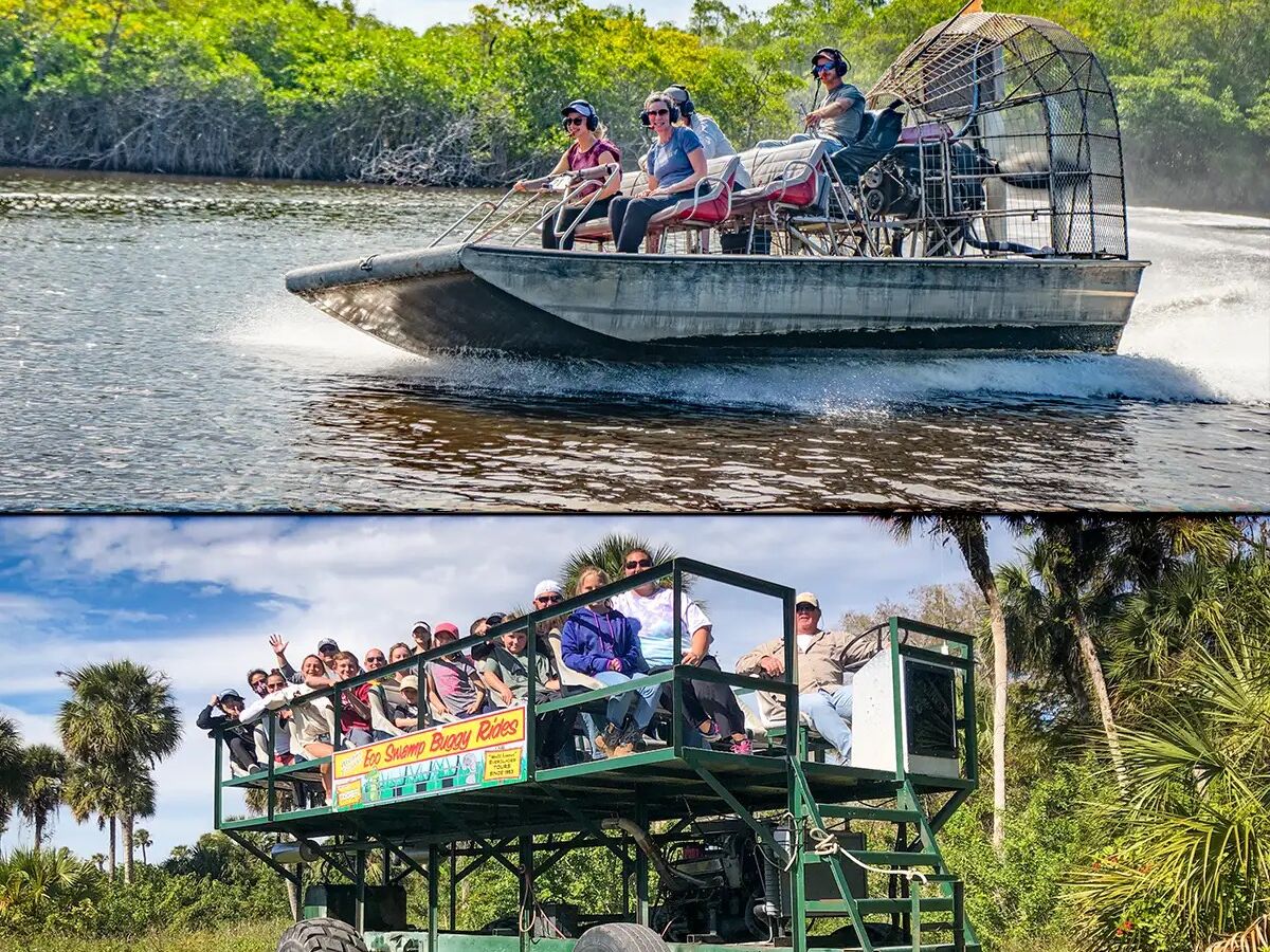 Picture of Captain Jack's Airboat Tours
