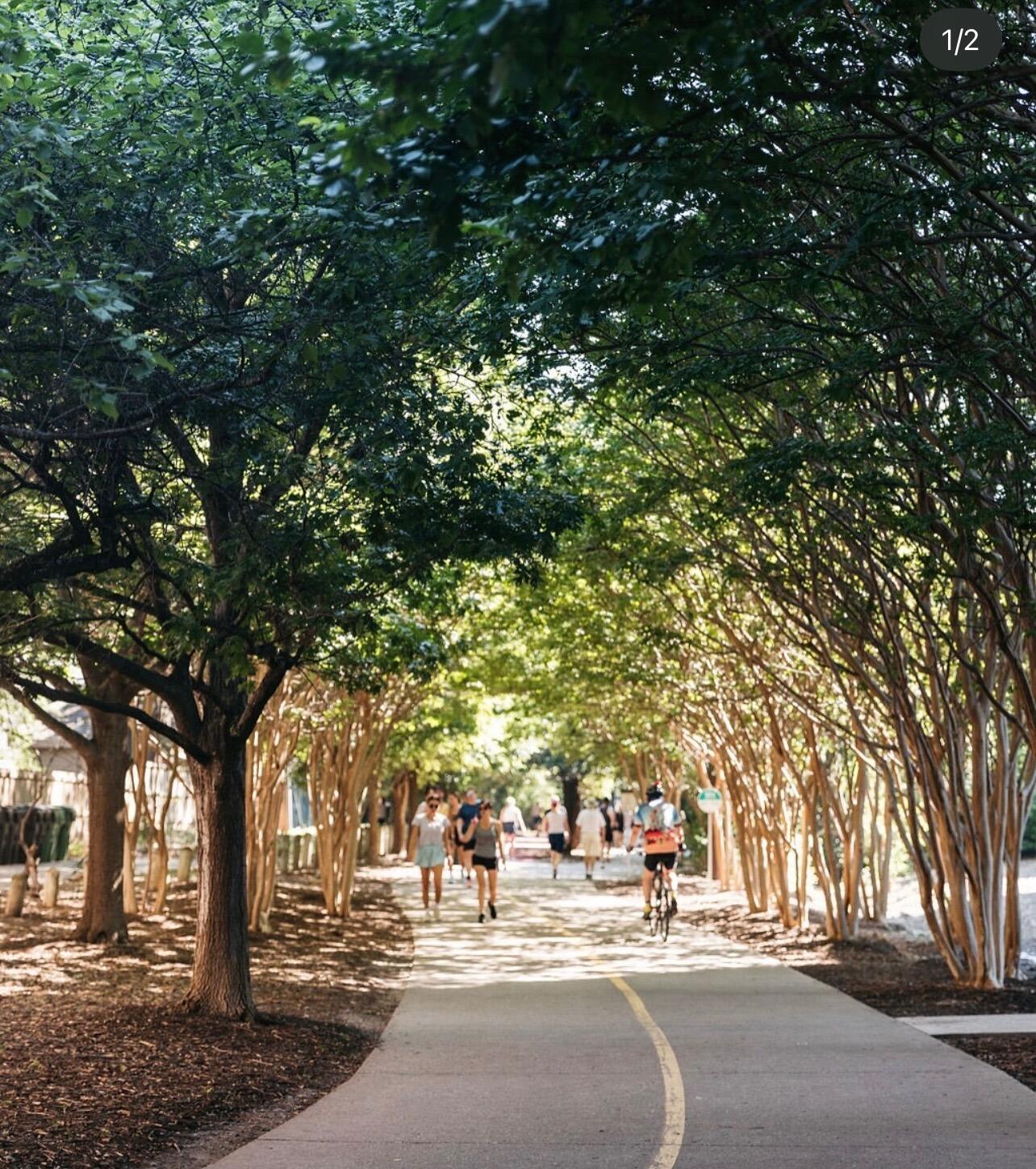 Picture of Katy Trail
