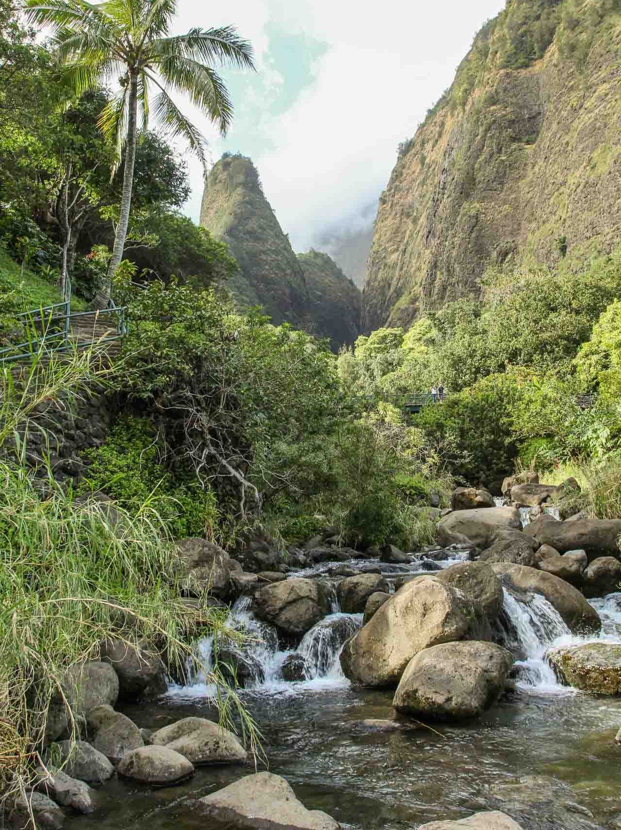 Picture of ʻĪao Valley State Monument